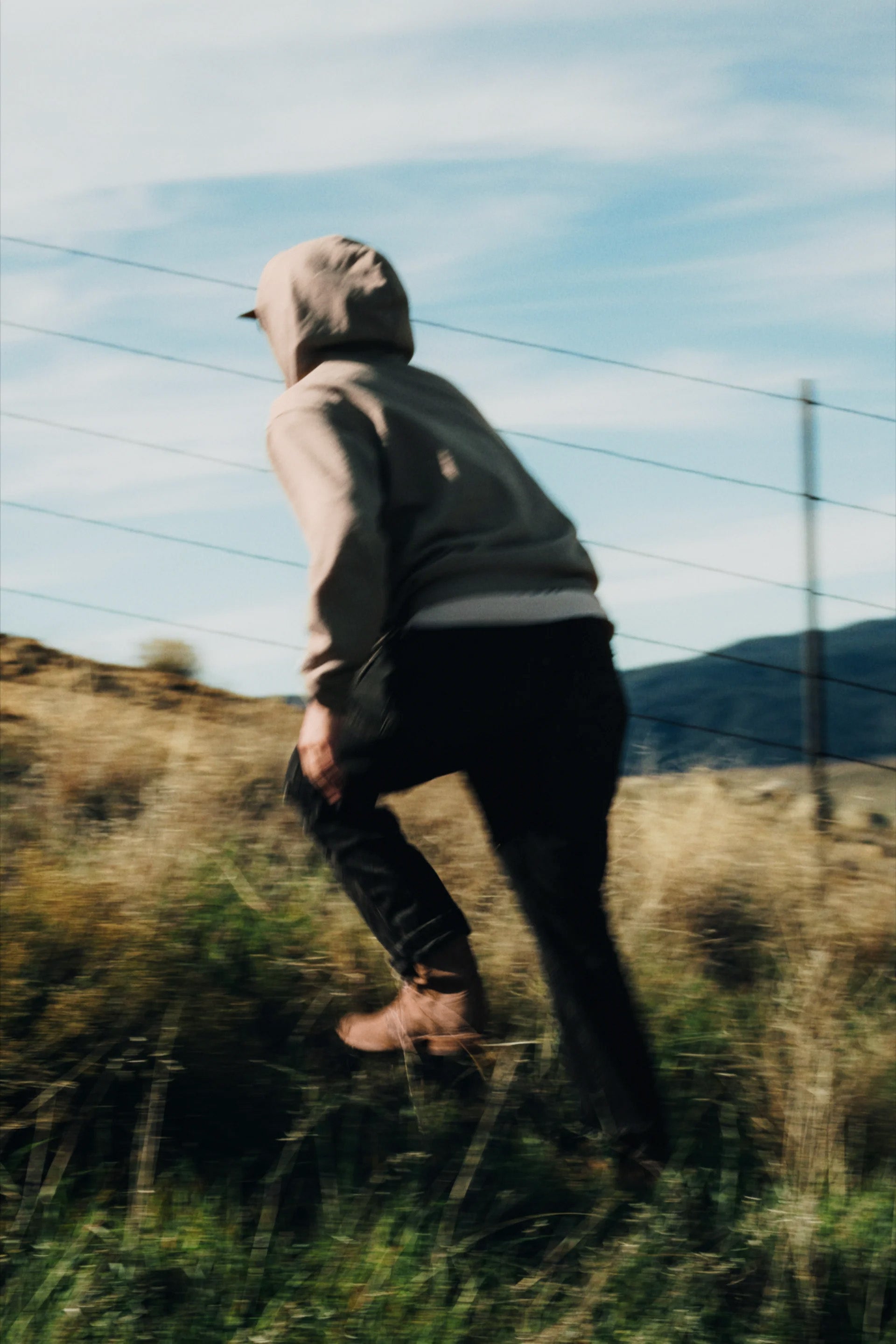 Stallion Hooded Sweatshirt